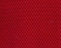 Riem `Canvas Look` rood